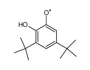 3,5-di-tert-butylcatechol radical Structure