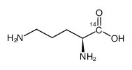 l-ornithine, [1-14 c] Structure