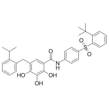 N-[4-(2-叔丁基苯磺酰基)苯基]-2,3,4-三羟基-5-(2-异丙基苄基)苯甲酰胺结构式