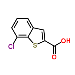 7-氯-1-苯并噻吩-2-甲酸结构式