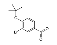 2-Bromo-1-[(2-methyl-2-propanyl)oxy]-4-nitrobenzene Structure