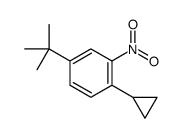 4-tert-butyl-1-cyclopropyl-2-nitrobenzene Structure
