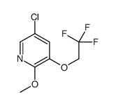 5-Chloro-2-methoxy-3-(2,2,2-trifluoroethoxy)pyridine Structure