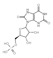 9-N-ribofuranosyluric acid 5'-monophosphate picture