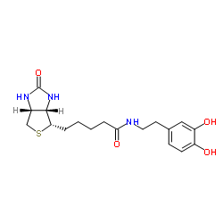 N-Biotinyl Dopamine structure