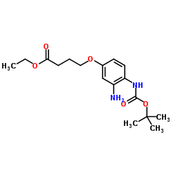 Ethyl 4-[3-amino-4-({[(2-methyl-2-propanyl)oxy]carbonyl}amino)phenoxy]butanoate结构式