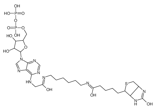 biotinyl-adenoside diphosphate结构式