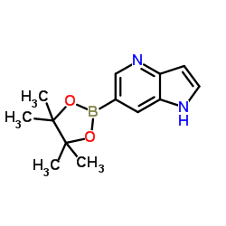 6-(4,4,5,5-四甲基-1,3,2-二氧硼烷-2-基)-1H-吡咯并[3,2-b]吡啶结构式