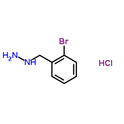2-Bromobenzylhydrazine dihydrochloride picture