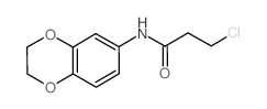 3-Chloro-N-(2,3-dihydro-1,4-benzodioxin-6-yl)propanamide结构式
