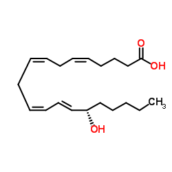 15-Hydroxyeicosatetraenoic acid Structure