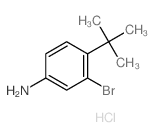 3-溴-4-(叔丁基)苯胺盐酸盐结构式