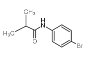 N-(4-溴苯基)-2-甲基丙酰胺结构式