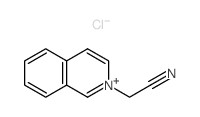 2-isoquinolin-2-ylacetonitrile Structure
