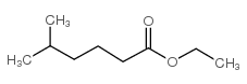 Hexanoic acid,5-methyl-, ethyl ester structure