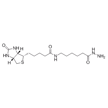 (+)-生物素胺己酰肼图片