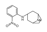 3-氨基-内向-N-(2-硝基苯基)-8-氮杂双环[3.2.1]辛烷结构式