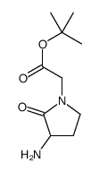 tert-butyl 2-(3-amino-2-oxopyrrolidin-1-yl)acetate结构式