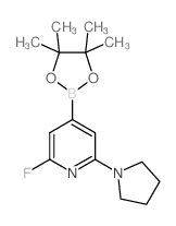 2-氟-6-(吡咯烷-1-基)-4-(4,4,5,5-四甲基-1,3,2-二噁硼烷-2-基)吡啶结构式