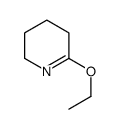 6-乙氧基-2,3,4,5-四氢吡啶结构式