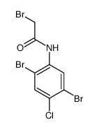 2-bromo-N-(2,5-dibromo-4-chlorophenyl)acetamide结构式