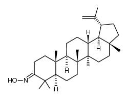 lup-20(29)-en-3-oxime Structure