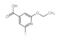 2-氯-6-乙氧基异烟酸结构式