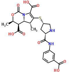 (3R,4R,4aS,5R)-6-[(3S,5S)-5-[(3-carboxyphenyl)carbamoyl]pyrrolidin-3-yl]sulfanyl-3,5-dimethyl-1-oxo-3,4,4a,5-tetrahydropyrrolo[1,2-c][1,3]oxazine-4,7-dicarboxylic acid picture