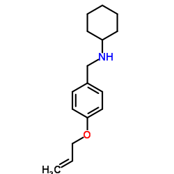 N-[4-(Allyloxy)benzyl]cyclohexanamine结构式