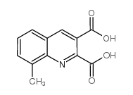 8-甲基-喹啉-2,3-二羧酸图片