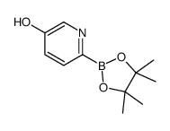 5-Hydroxypyridine-2-boronic acid pinacol ester picture