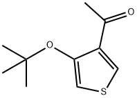 Methyl(4-tert-butoxy-3-thienyl) ketone结构式