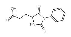苯基硫代乙内酰脲-谷氨酸结构式