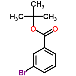 3-溴苯甲酸叔丁酯结构式