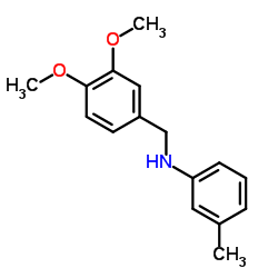 N-(3,4-Dimethoxybenzyl)-3-methylaniline Structure