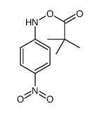 (4-nitroanilino) 2,2-dimethylpropanoate结构式