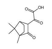 Oxo-(4,7,7-trimethyl-3-oxo-bicyclo[2.2.1]hept-2-yl)-acetic acid Structure