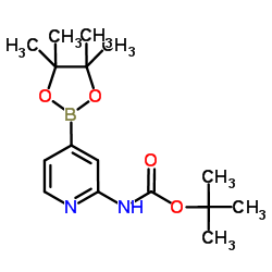 2-(Boc-氨基)吡啶-4-硼酸频哪醇酯结构式