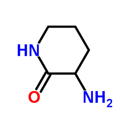 3-Amino-2-piperidinone Structure