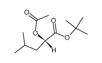 L-2-Acetoxy-4-methylpentansaeure-tert.-butylester Structure