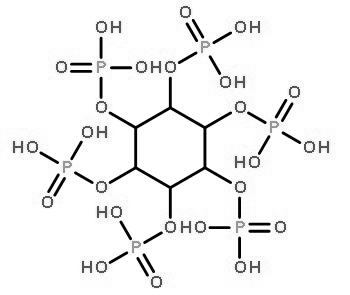植酸酶结构式