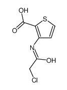 3-[(2-氯乙酰基)氨基]噻吩-2-羧酸结构式