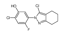 2-chloro-5-(3-chloro-4,5,6,7-tetrahydroindazol-2-yl)-4-fluorophenol结构式