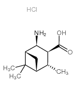 (1R,2R,3S,4R,5R)-2-Amino-4,6,6-trimethylbicyclo[3.1.1]heptane-3-carboxylic acid hydrochloride Structure