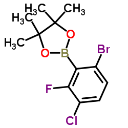 6-Bromo-3-chloro-2-fluorophenylboronic acid pinacol ester Structure