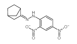 2,4-dinitro-N-(norbornan-2-ylideneamino)aniline Structure