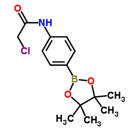 2-chloro-N-(4-(4,4,5,5-tetramethyl-1,3,2-dioxaborolan-2-yl)phenyl)acetamide Structure