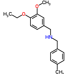 1-(4-Ethoxy-3-methoxyphenyl)-N-(4-methylbenzyl)methanamine结构式