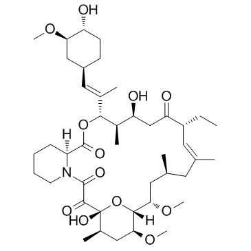 Ascomycin structure