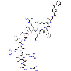 Benzoylbenzoyl-troponin I inhibitory peptide (104-115)结构式